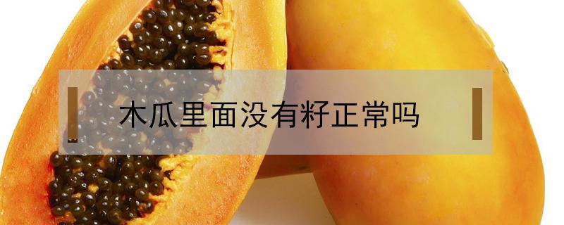 木瓜里面没有籽正常吗（木瓜有没有籽的吗）