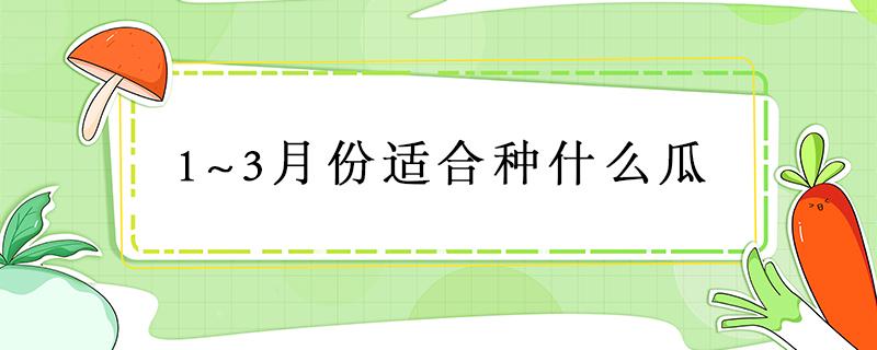 1~3月份适合种什么瓜（三月份适合种什么瓜）