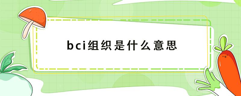 bci组织是什么意思