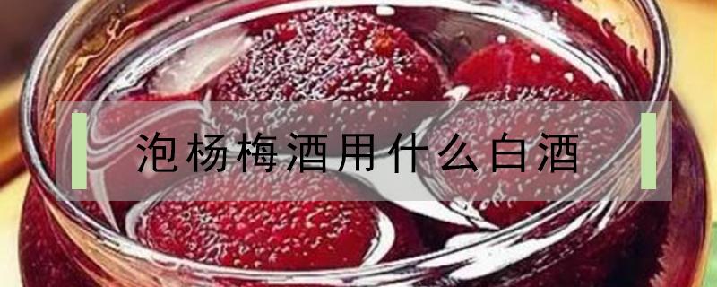 泡杨梅酒用什么白酒 泡杨梅酒用什么白酒好喝