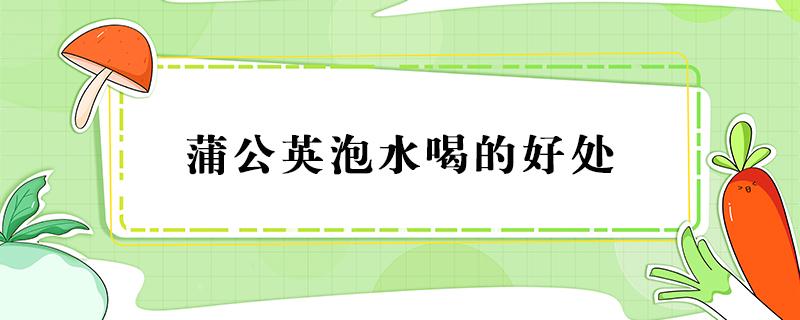 蒲公英泡水喝的好处 蒲公英泡水喝竟有6个害处