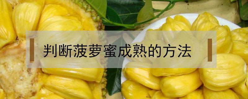 判断菠萝蜜成熟的方法（如何判断菠萝蜜成熟）