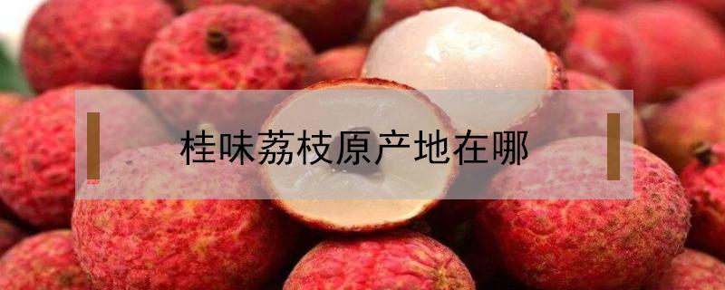 桂味荔枝原产地在哪（桂味荔枝的产地）