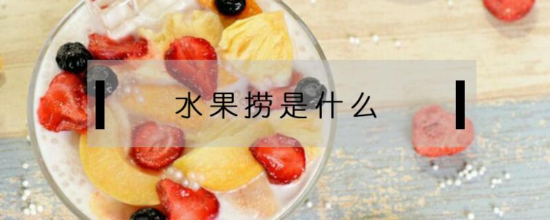 水果捞是什么（水果捞是什么酸奶）