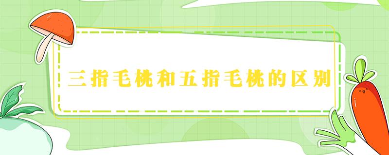三指毛桃和五指毛桃的区别（3指毛桃与5指毛桃的区别）