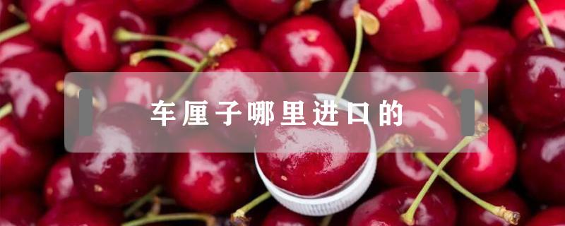 车厘子哪里进口的 车厘子都是进口