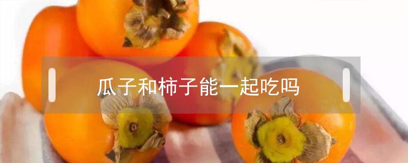 瓜子和柿子能一起吃吗 柿子跟瓜子能一起吃吗