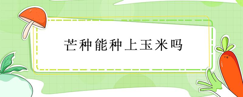 芒种能种上玉米吗 过芒种种玉米行了吗