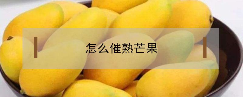 怎么催熟芒果 乙烯控释剂怎么催熟芒果