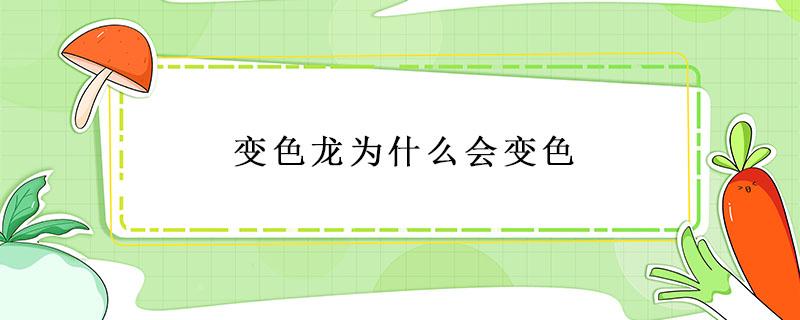 变色龙为什么会变色 变色龙为什么会变色?原因是什么?