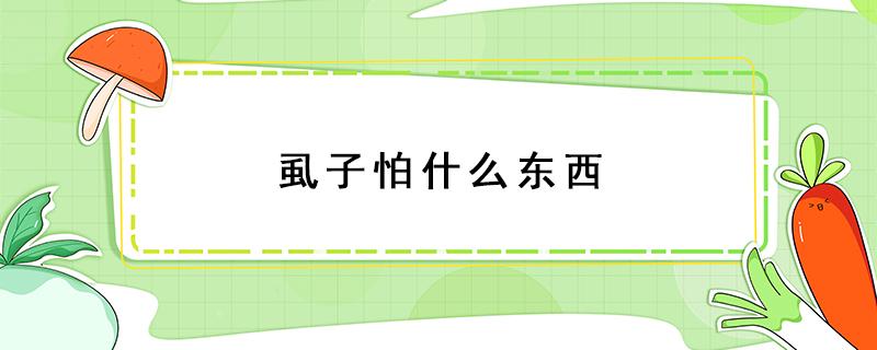 虱子怕什么东西 虱子可怕吗?