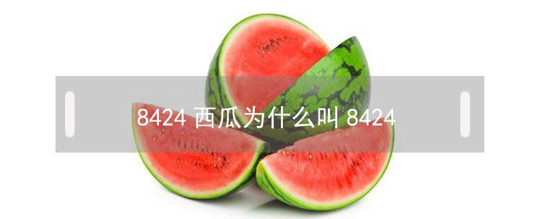 8424西瓜为什么叫8424（8424西瓜为什么叫8424西瓜）