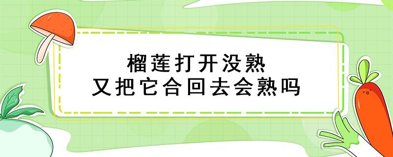 榴莲打开没熟又把它合回去会熟吗（榴莲打开之后没完全熟）