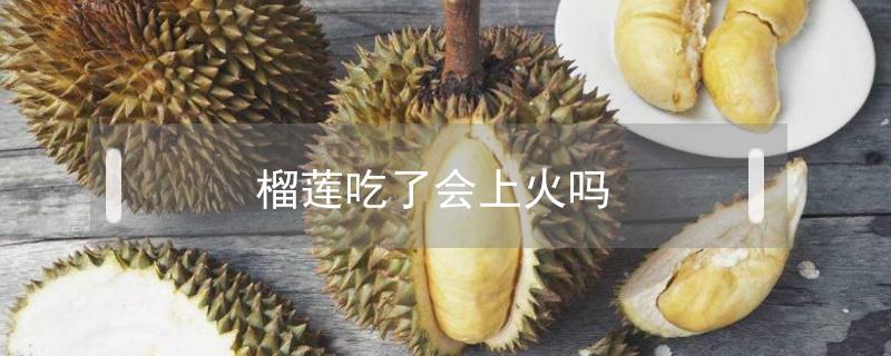 榴莲吃了会上火吗(榴莲吃了会上火吗什么水果清火)