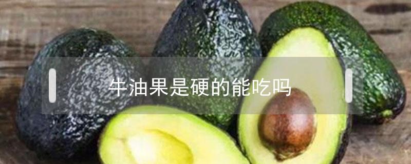 牛油果是硬的能吃吗 牛油果有些硬能吃吗