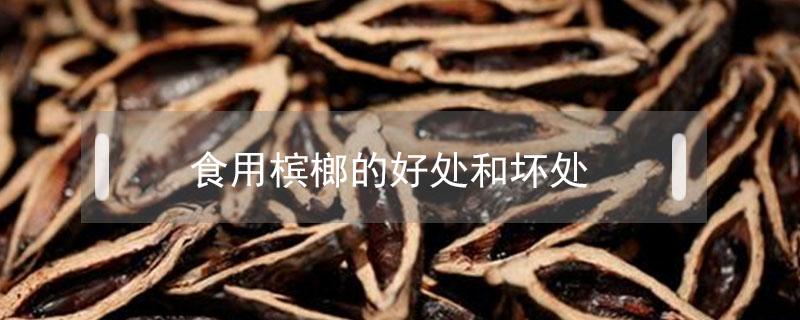 食用槟榔的好处和坏处 吃槟榔的好处和坏处