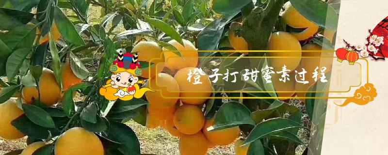 橙子打甜蜜素过程