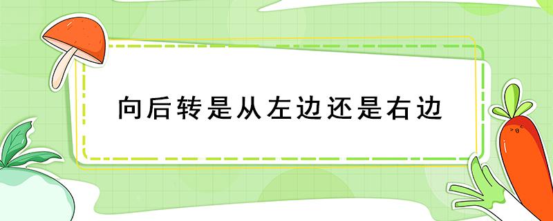 向后转是从左边还是右边（军训向后转是从左边还是右边）