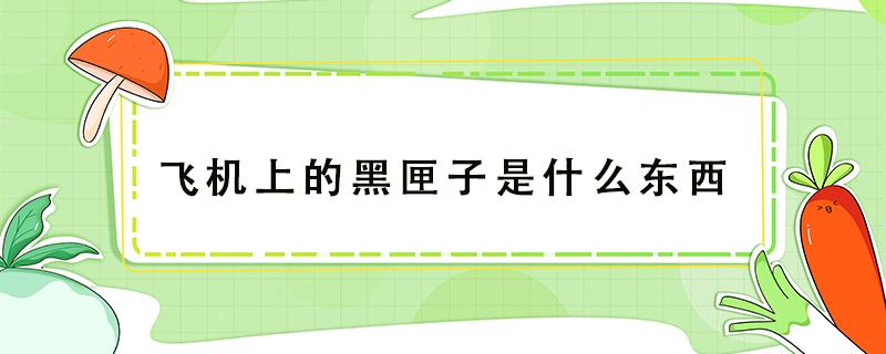 飞机上的黑匣子是什么东西（飞机上的黑匣子是什么东西有什么作用）