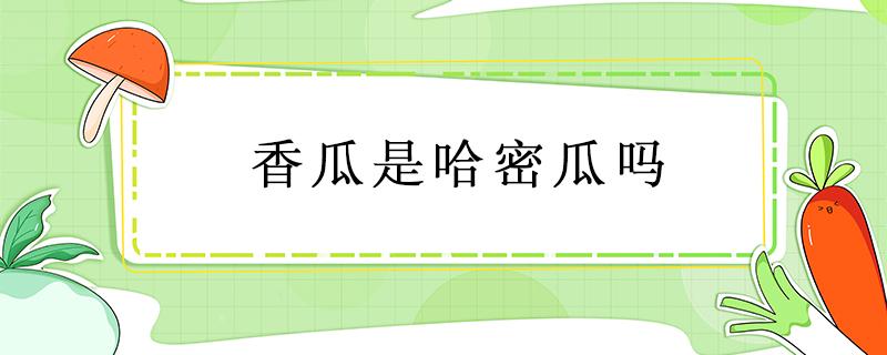 香瓜是哈密瓜吗 哈密瓜是香瓜吗?