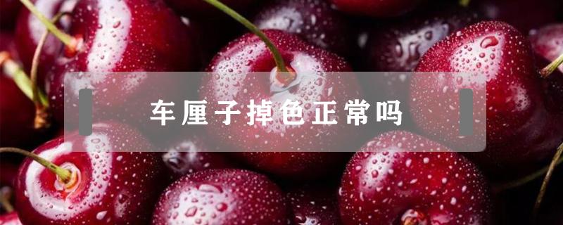 车厘子掉色正常吗（车厘子色掉色后是什么颜色）