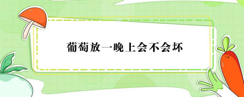 葡萄放一晚上会不会坏 葡萄放一晚上会不会坏掉