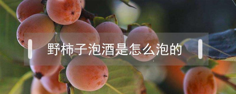 野柿子泡酒是怎么泡的（野柿子泡白酒有什么功效）