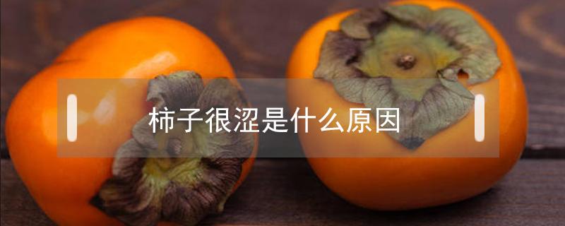 柿子很涩是什么原因（柿子怎么会涩）