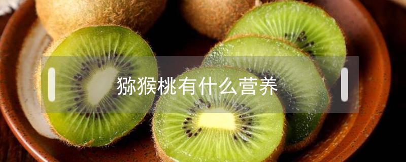 猕猴桃有什么营养（猕猴桃有什么营养和功效）