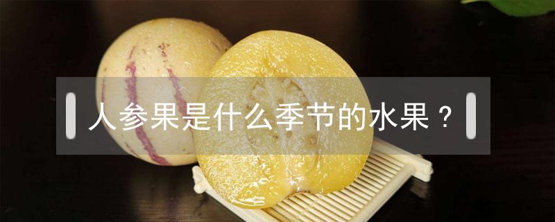人参果是什么季节的水果?（人参果是什么季节的时令水果）
