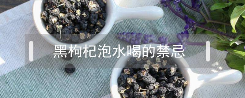 黑枸杞泡水喝的禁忌（黑枸杞泡水喝的禁忌和功效）