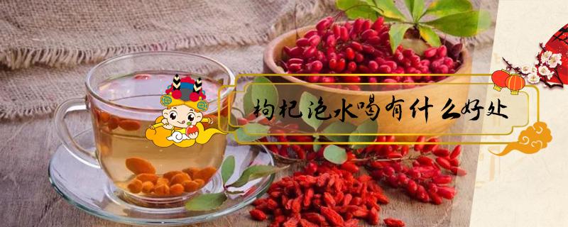枸杞泡水喝有什么好处（枸杞泡水喝有什么好处一次泡几颗）