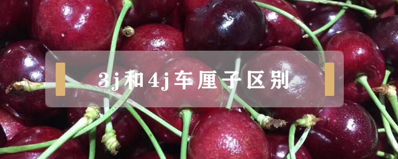 3j和4j车厘子区别（车厘子2j和4j有什么区别）