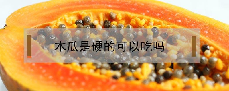 木瓜是硬的可以吃吗 木瓜有些硬能吃吗