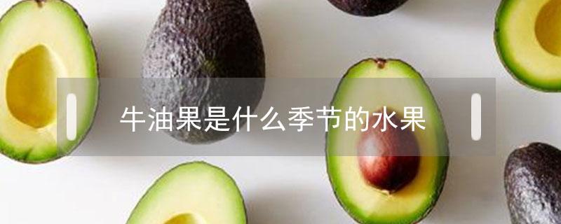 牛油果是什么季节的水果 这个季节有牛油果吗