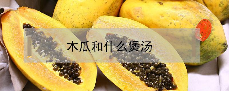 木瓜和什么煲汤(木瓜和什么煲汤最好吃)