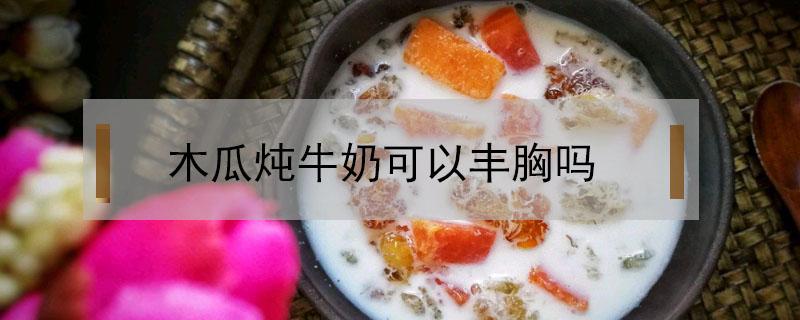 木瓜炖牛奶可以丰胸吗（木瓜怎么炖牛奶才可以丰胸）