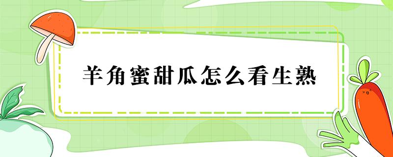 羊角蜜甜瓜怎么看生熟（怎么分辨羊角蜜甜瓜熟了）