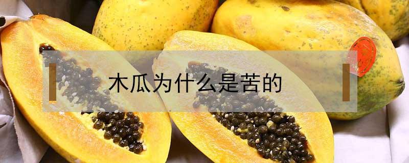 木瓜为什么是苦的（木瓜为什么是苦的呢）