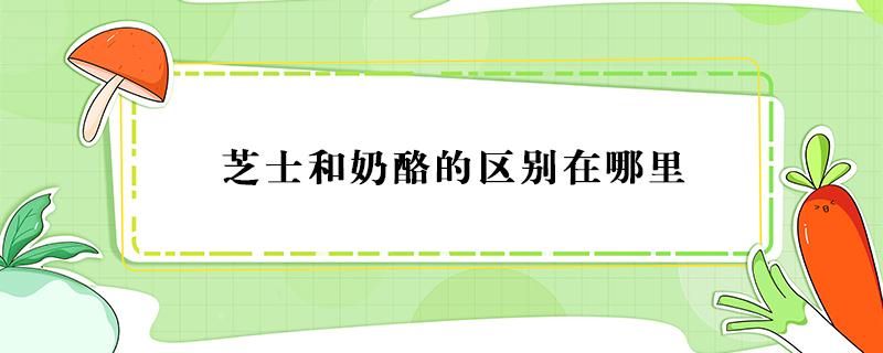 芝士和奶酪的区别在哪里 芝士跟奶酪有什么区别吗