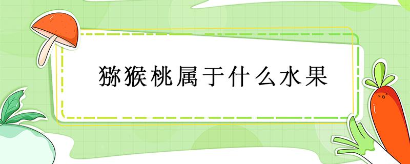 猕猴桃属于什么水果 猕猴桃属于什么样的水果