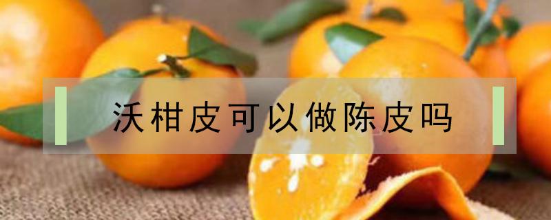 沃柑皮可以做陈皮吗 沃柑皮可以做陈皮吗?
