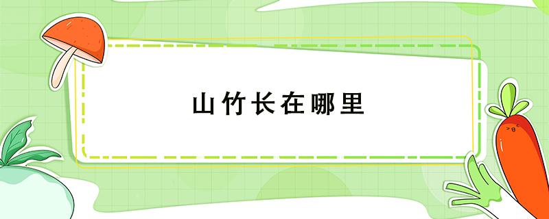 山竹长在哪里 山竹长在哪里 树上