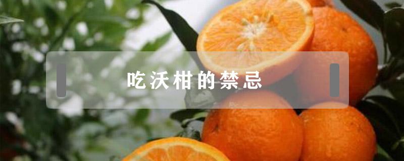 吃沃柑的禁忌 吃沃柑好不好