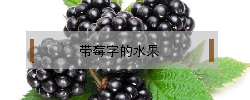带莓字的水果 带莓字的水果名字