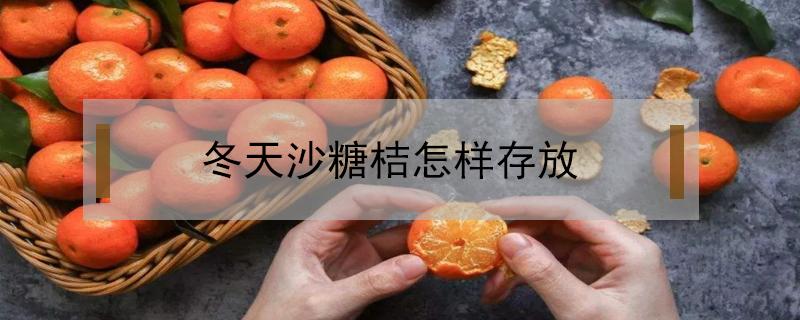 冬天沙糖桔怎样存放（沙糖桔可以放冷藏吗）