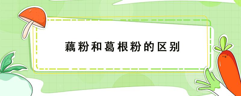 藕粉和葛根粉的区别 葛根和藕粉什么区别