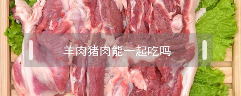 羊肉猪肉能一起吃吗（羊猪肉可以一起吃吗）