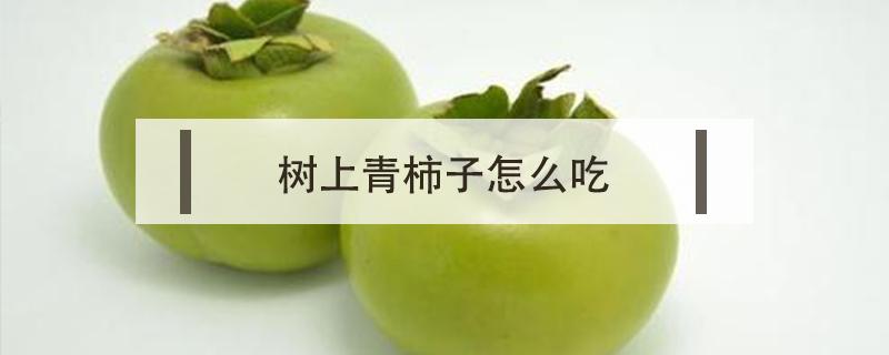 树上青柿子怎么吃（能吃的青柿子是什么品种）