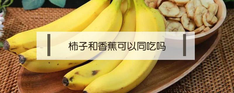 柿子和香蕉可以同吃吗 柿子能与香蕉同吃吗?